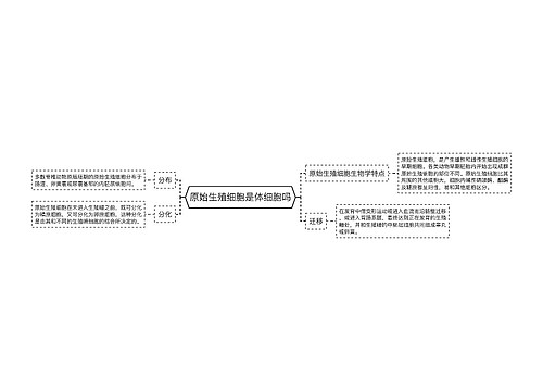 原始生殖细胞是体细胞吗