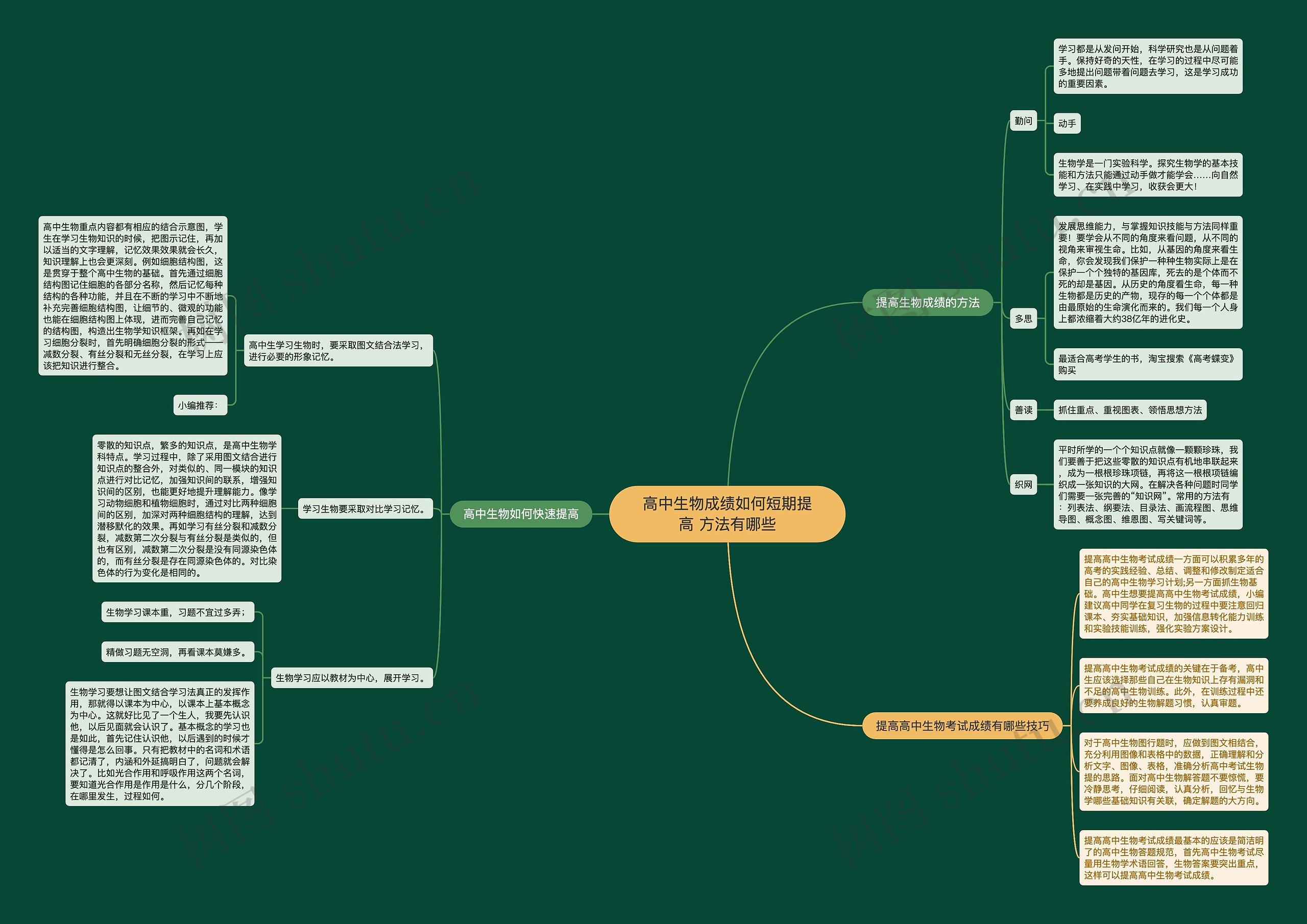 高中生物成绩如何短期提高 方法有哪些思维导图