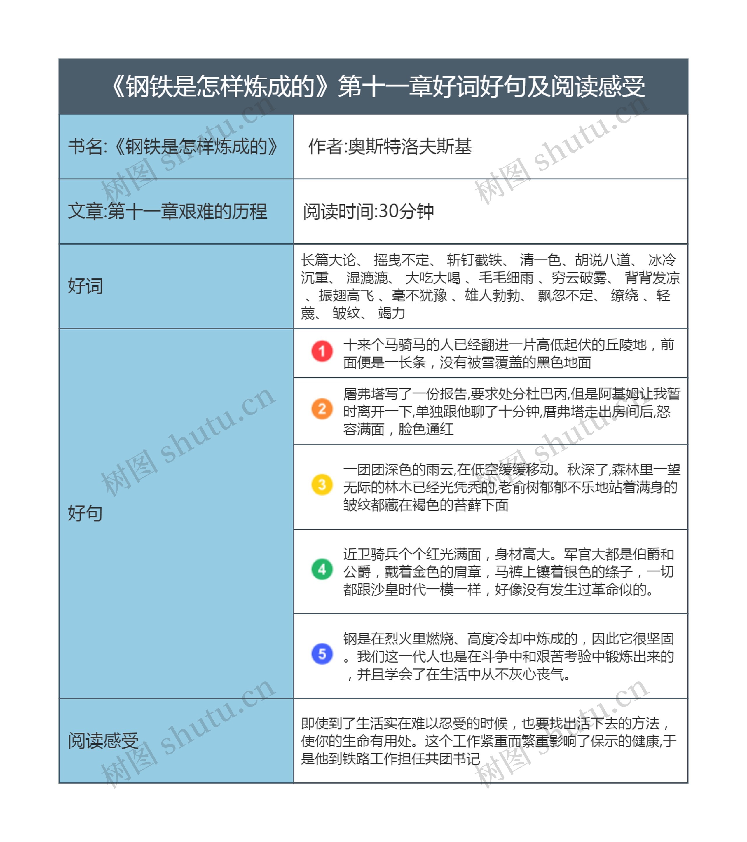 《钢铁是怎样炼成的》第十一章好词好句及阅读感受