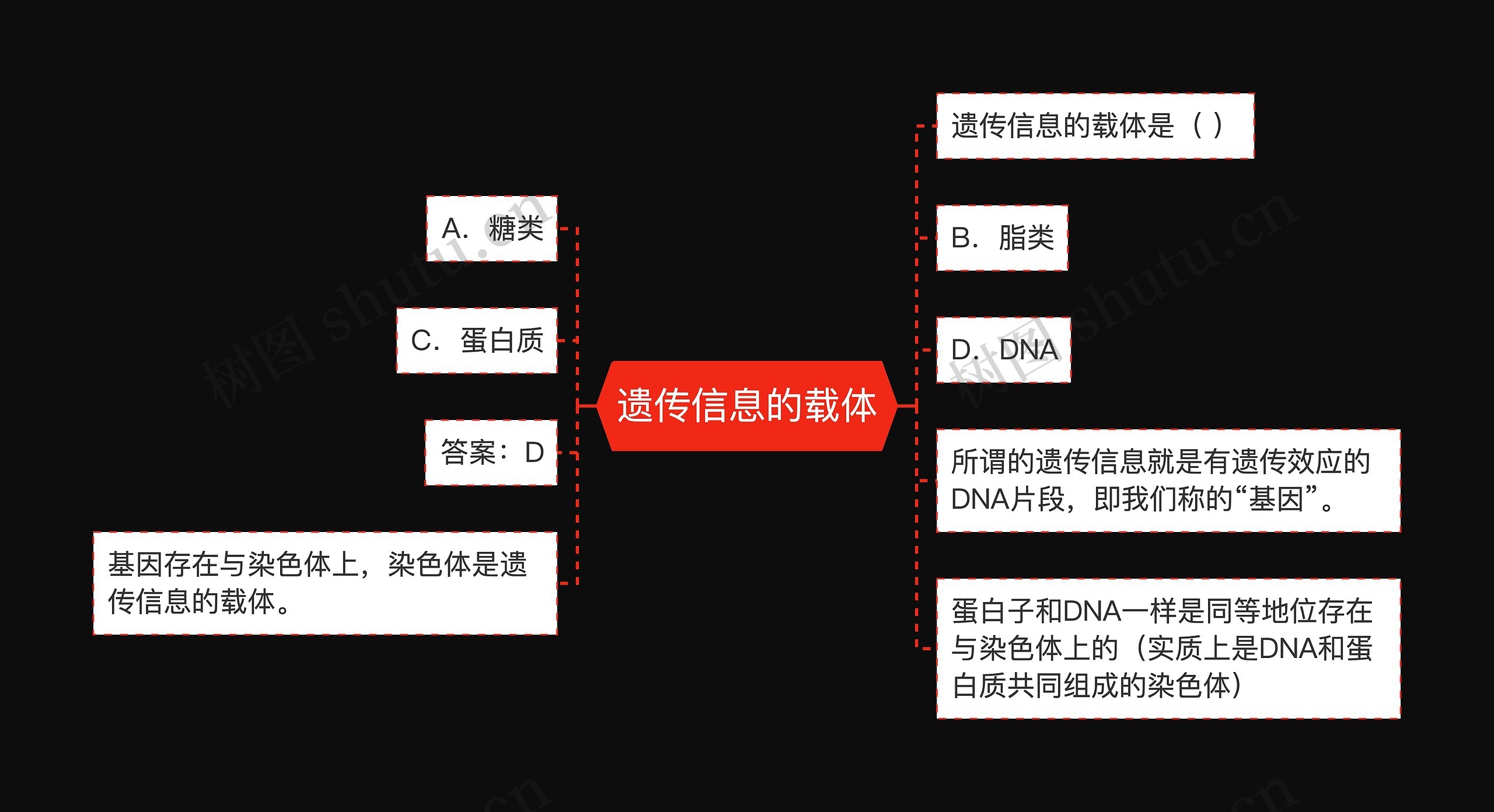 遗传信息的载体思维导图