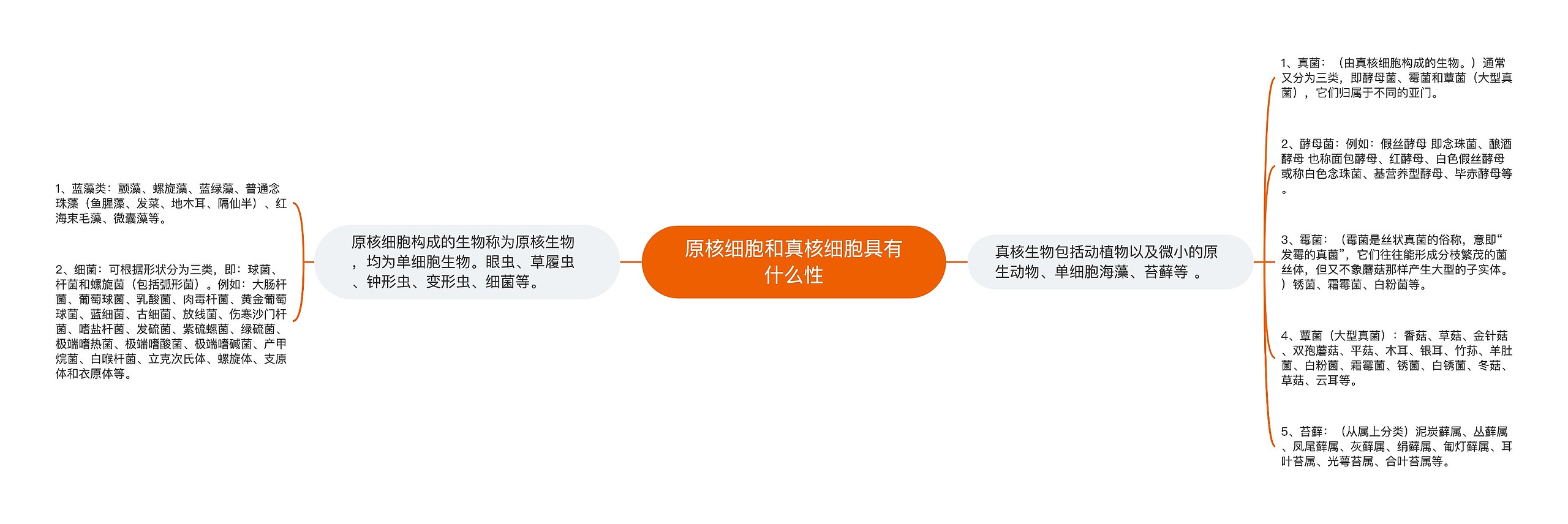 原核细胞和真核细胞具有什么性 原核细胞和真核细胞具有什么性