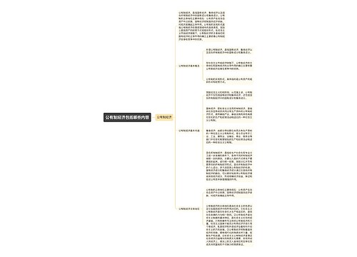 公有制经济包括哪些内容