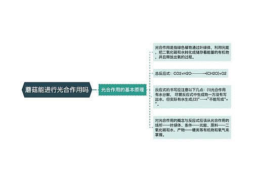 蘑菇能进行光合作用吗