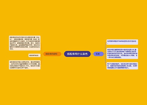 线粒体用什么染色