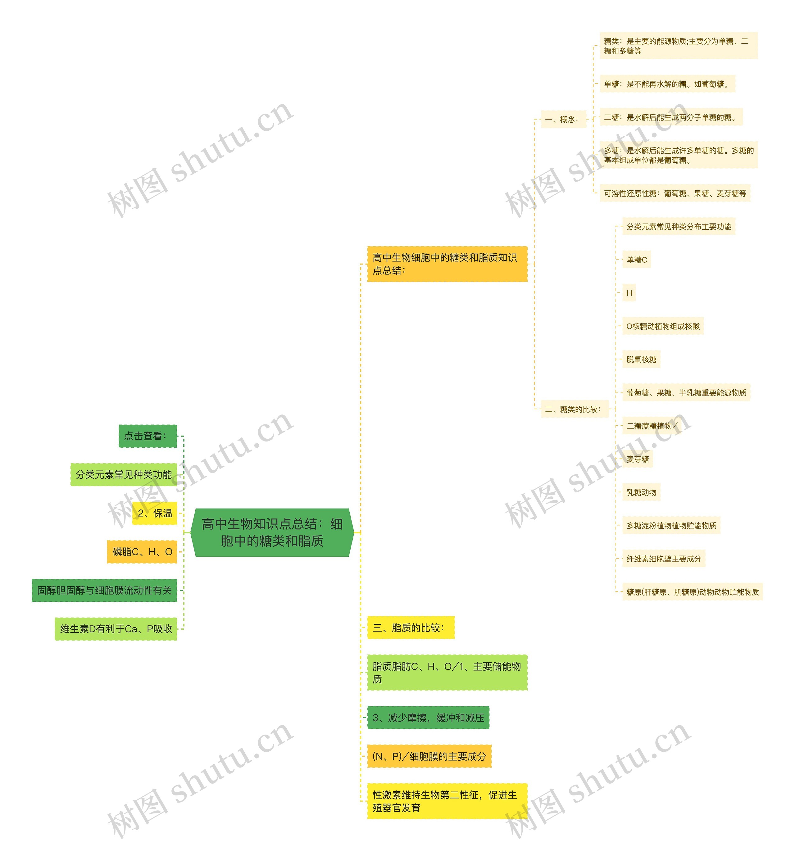 高中生物知识点总结：细胞中的糖类和脂质思维导图