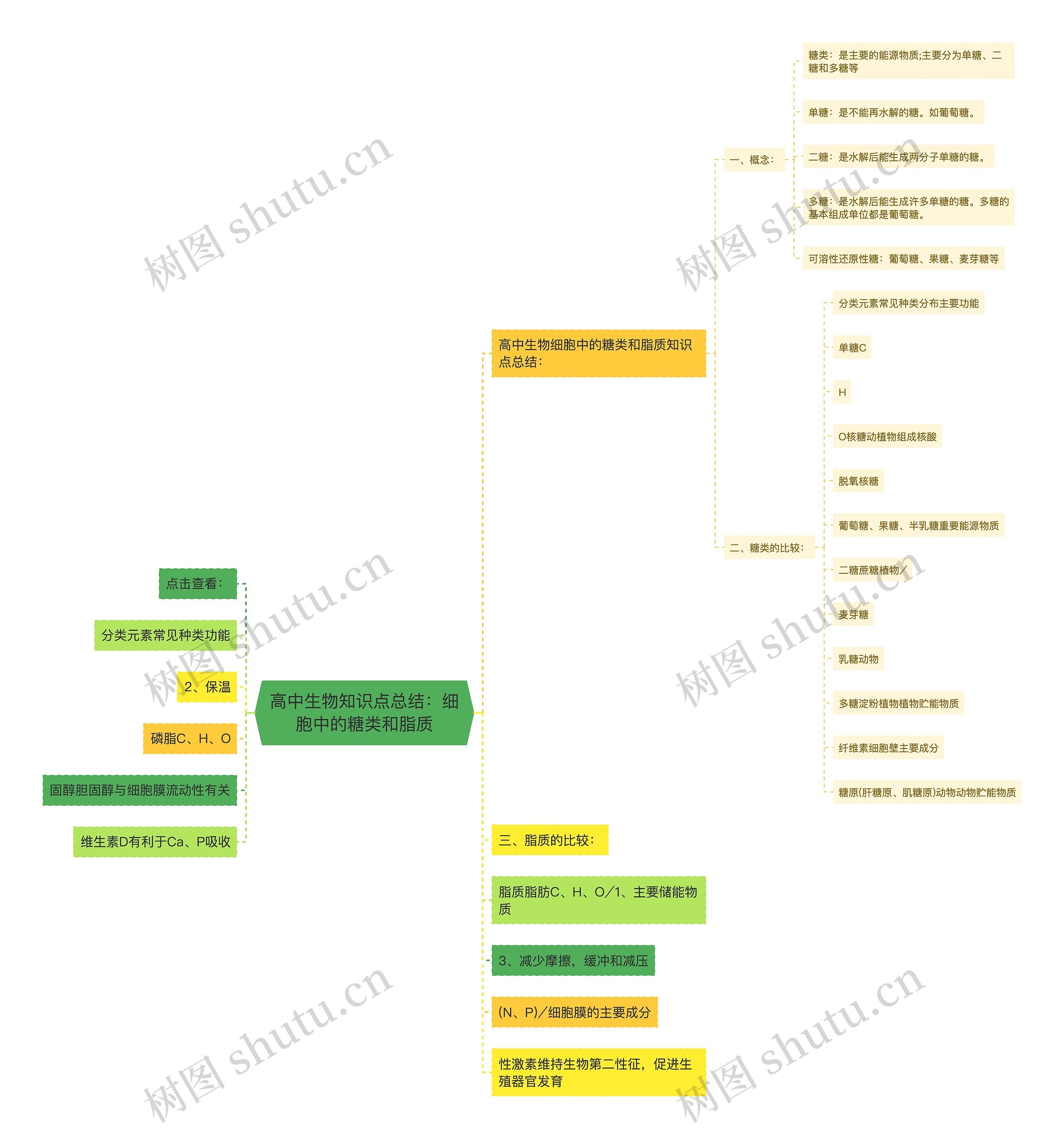高中生物知识点总结:细胞中的糖类和脂质 高中生物知识点总结:细胞中的糖类和脂质