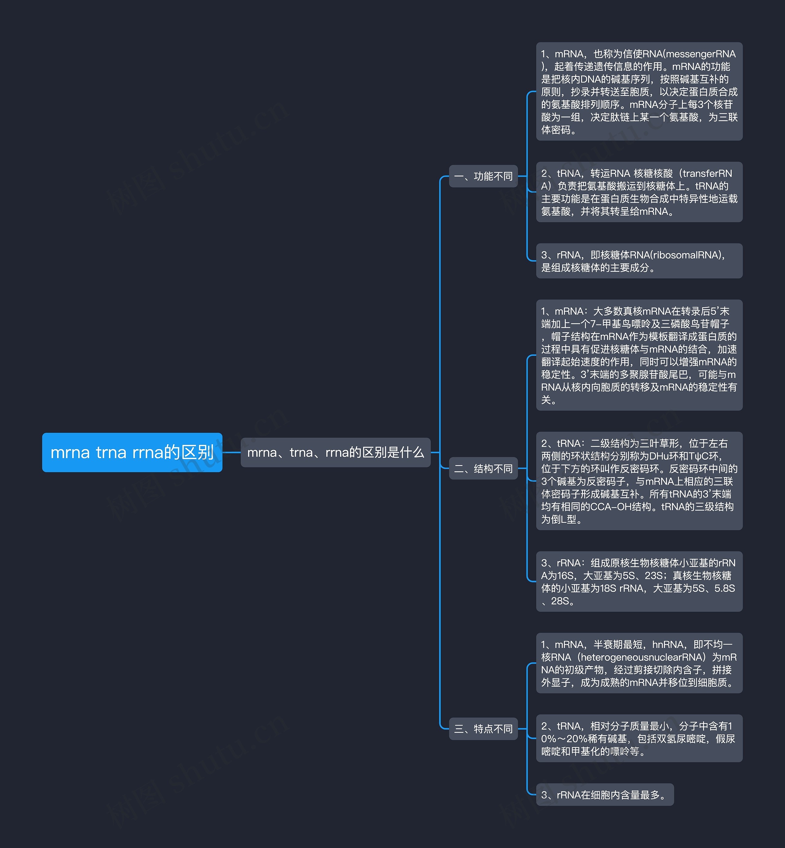 mrna trna rrna的区别 mrna trna rrna的区别