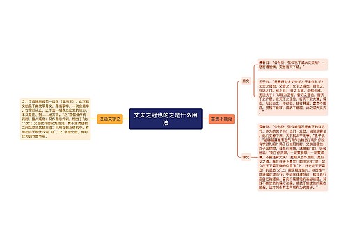 丈夫之冠也的之是什么用法