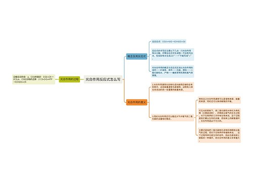 光合作用反应式怎么写