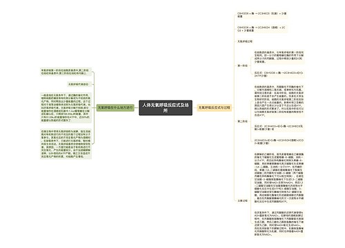 人体无氧呼吸反应式及场所