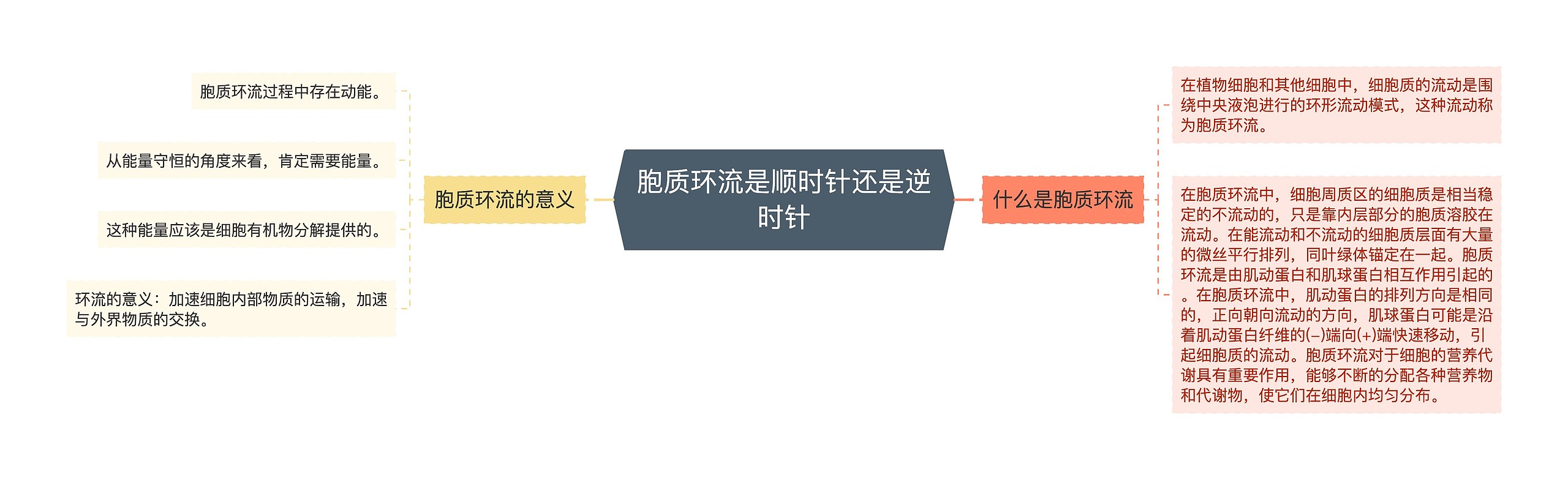 胞质环流是顺时针还是逆时针 胞质环流是顺时针还是逆时针