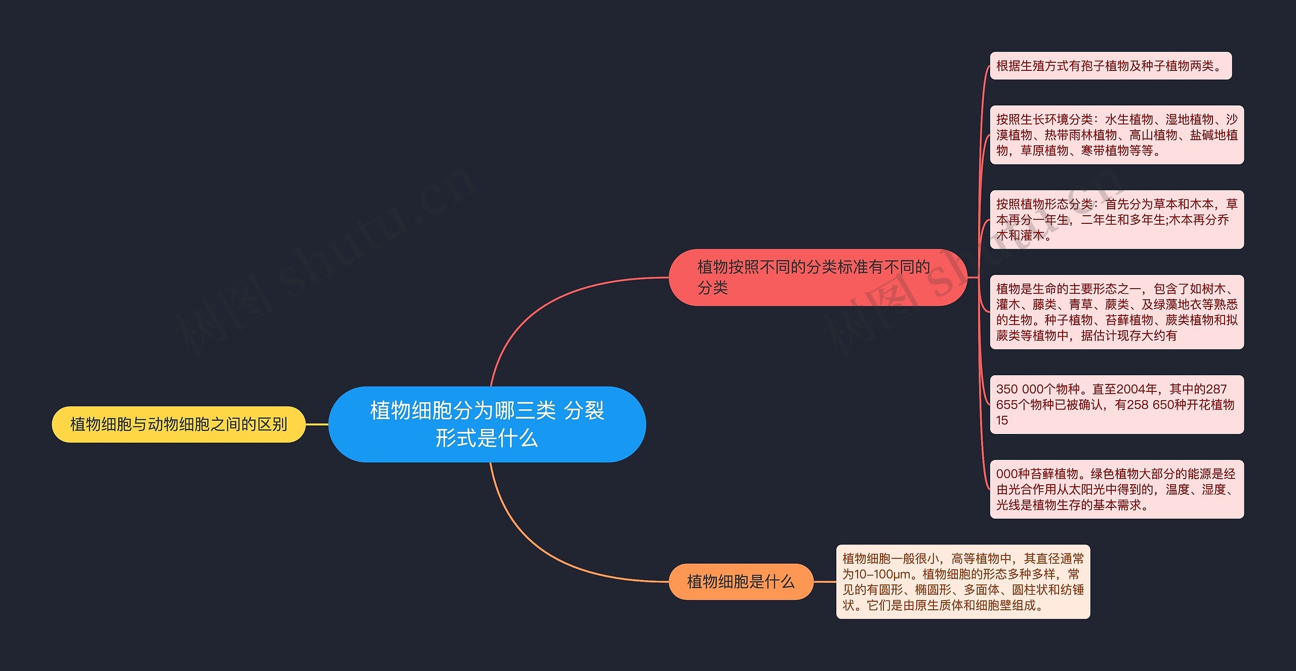 植物细胞分为哪三类 分裂形式是什么思维导图