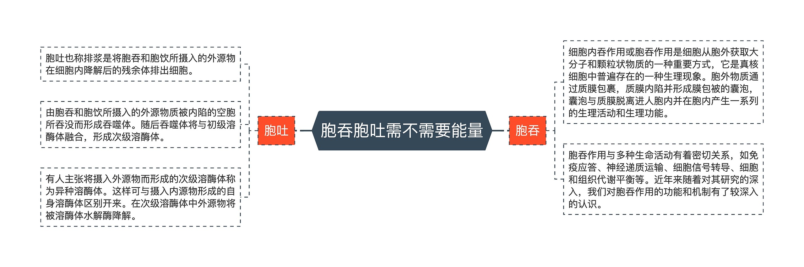 胞吞胞吐需不需要能量