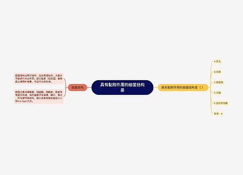 具有黏附作用的细菌结构是