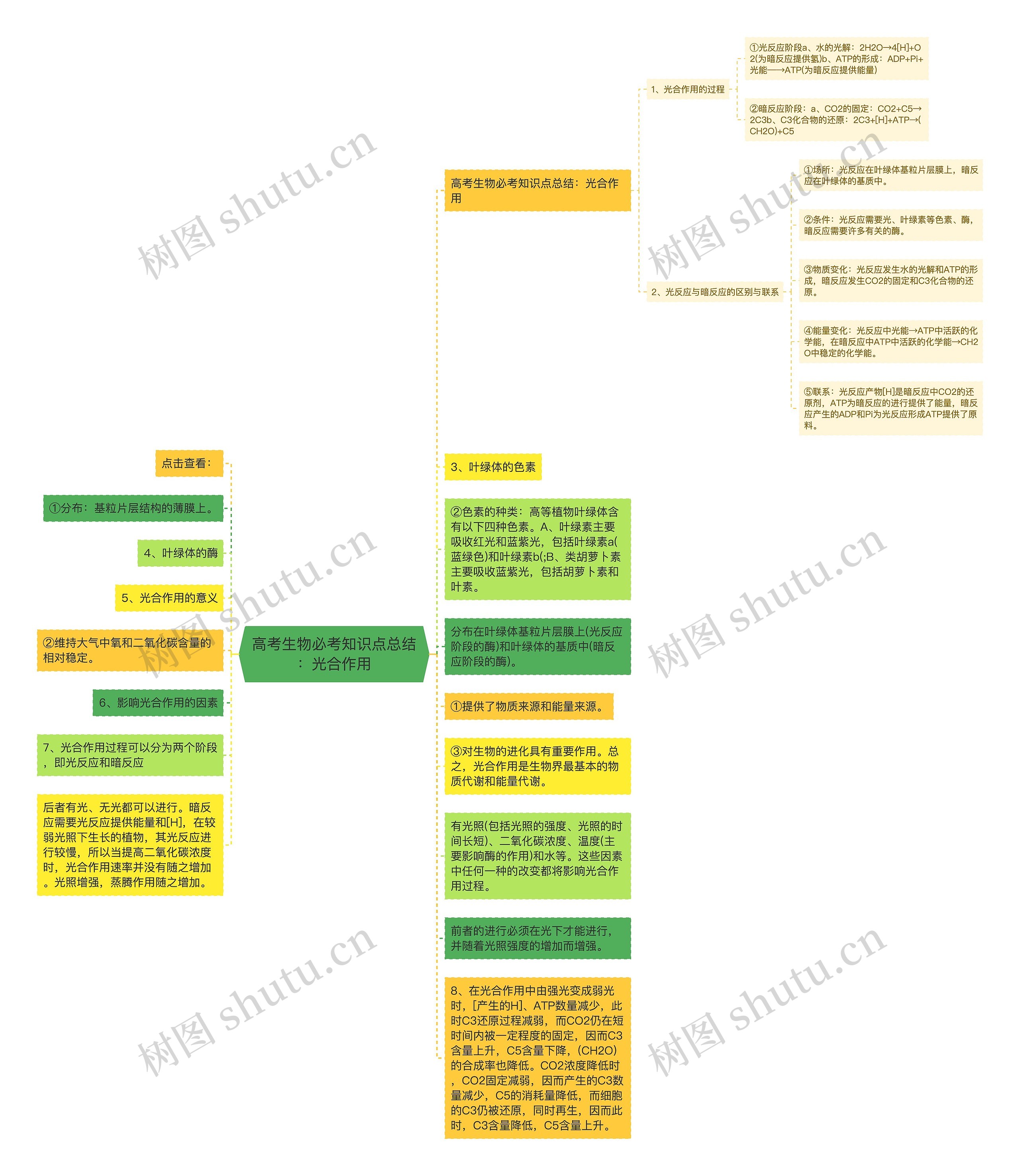 高考生物必考知识点总结：光合作用思维导图