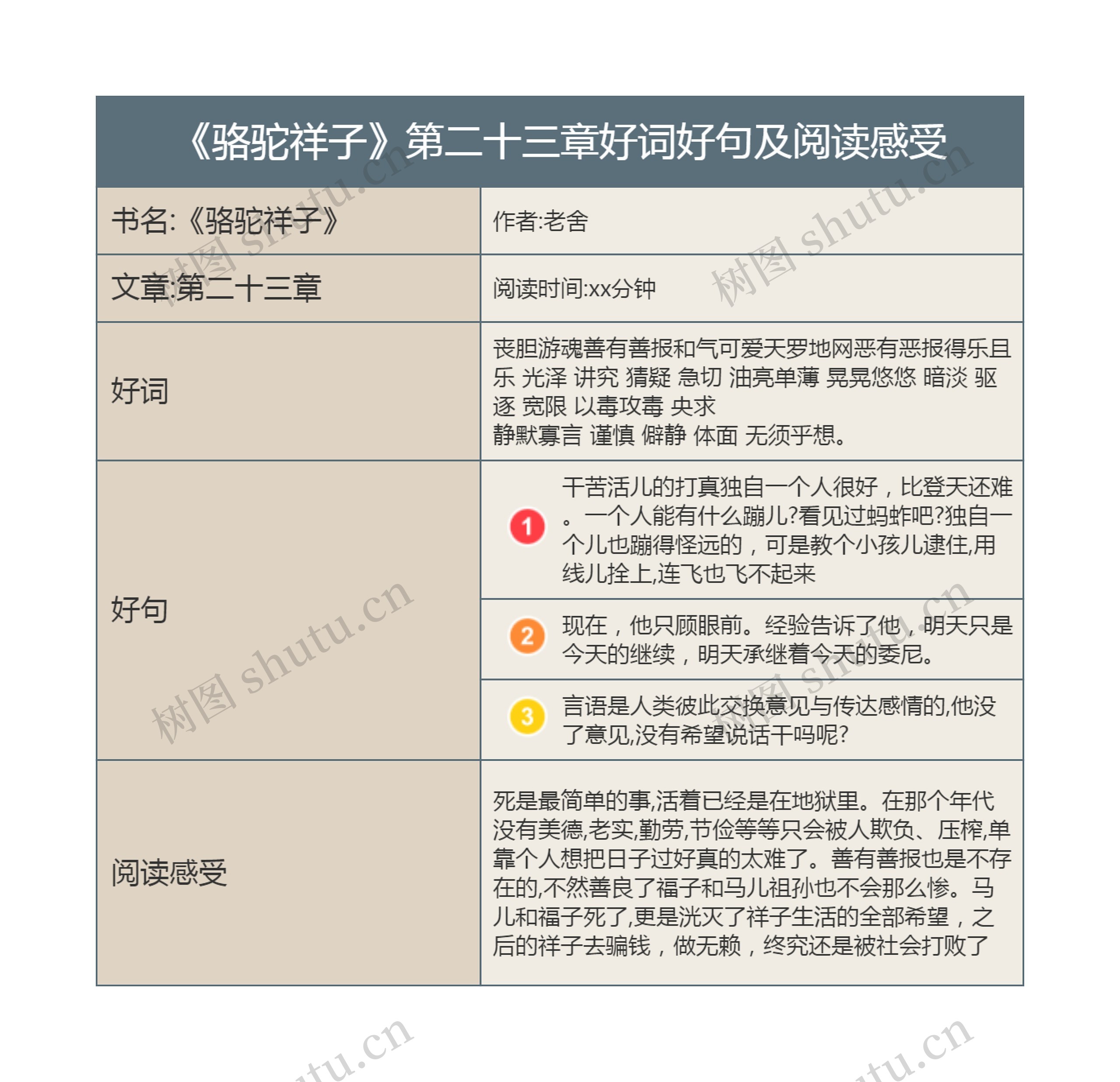 《骆驼祥子》第二十三章好词好句及阅读感受