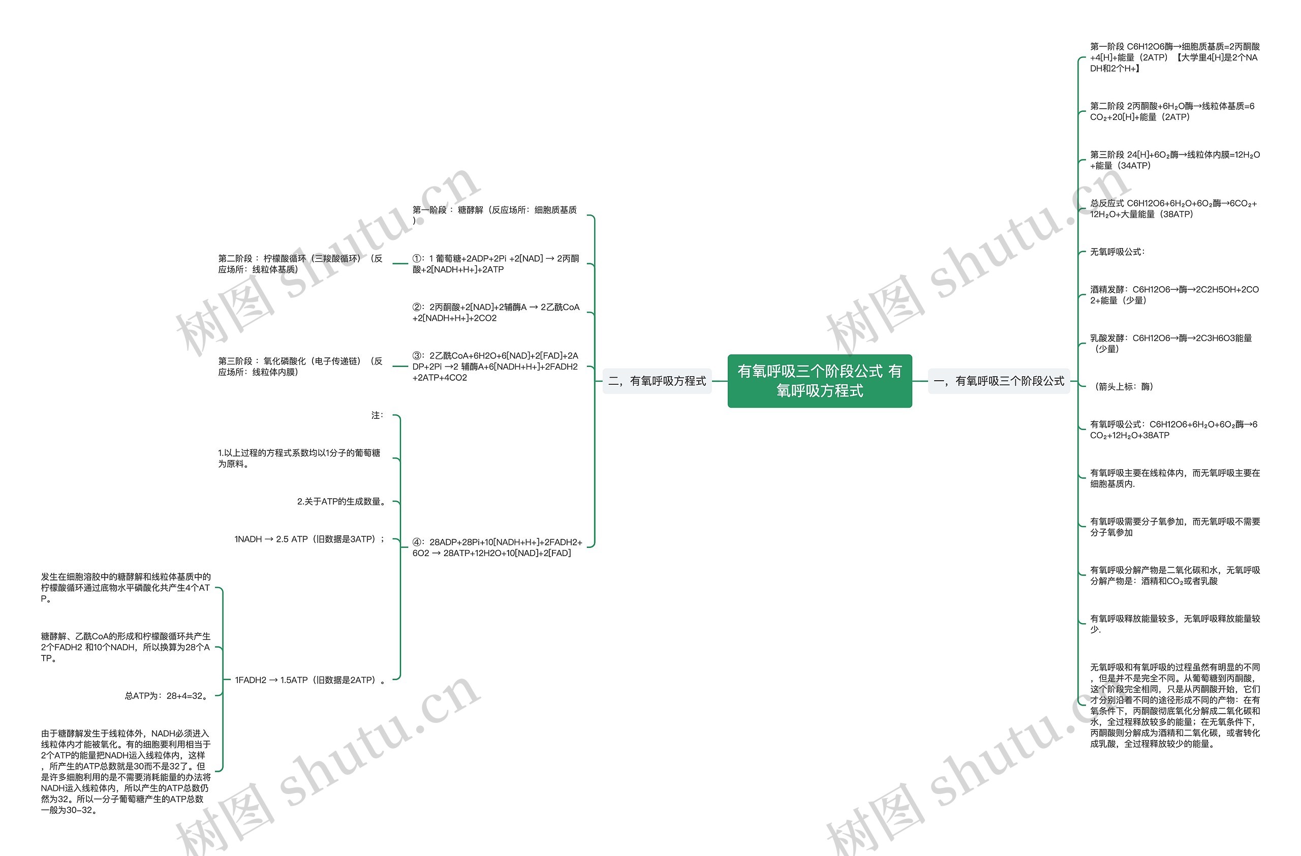 有氧呼吸三个阶段公式 有氧呼吸方程式