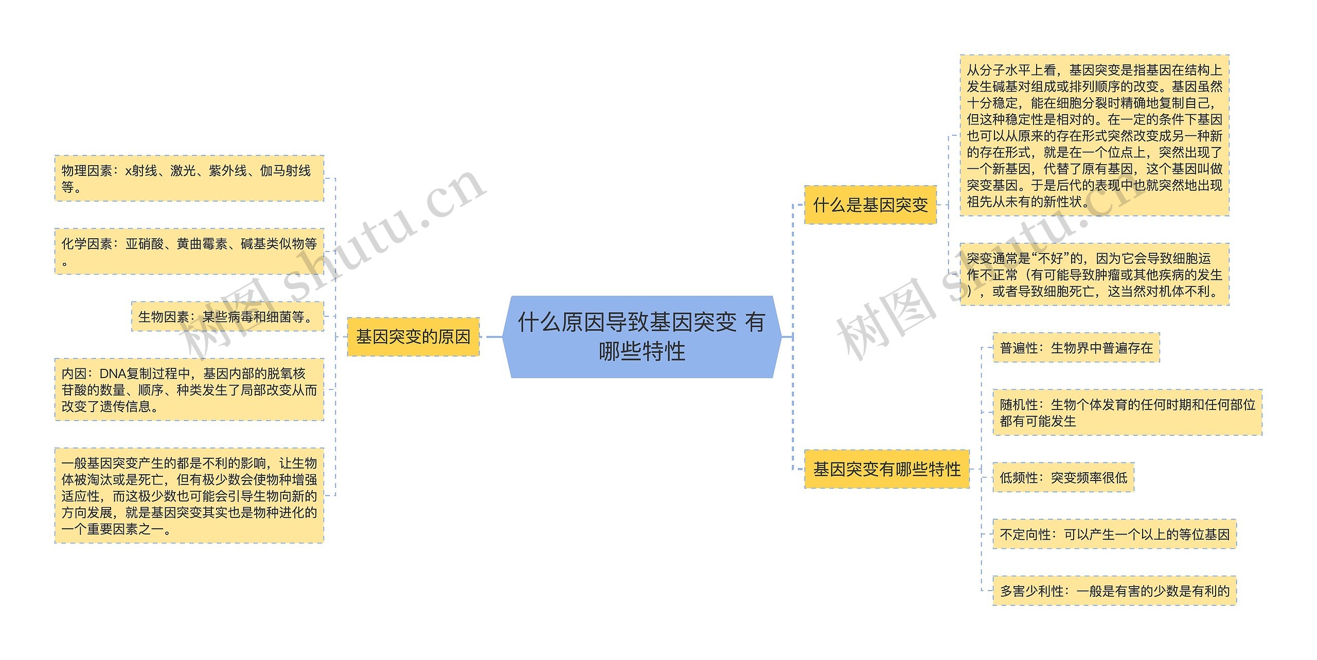 什么原因导致基因突变 有哪些特性思维导图