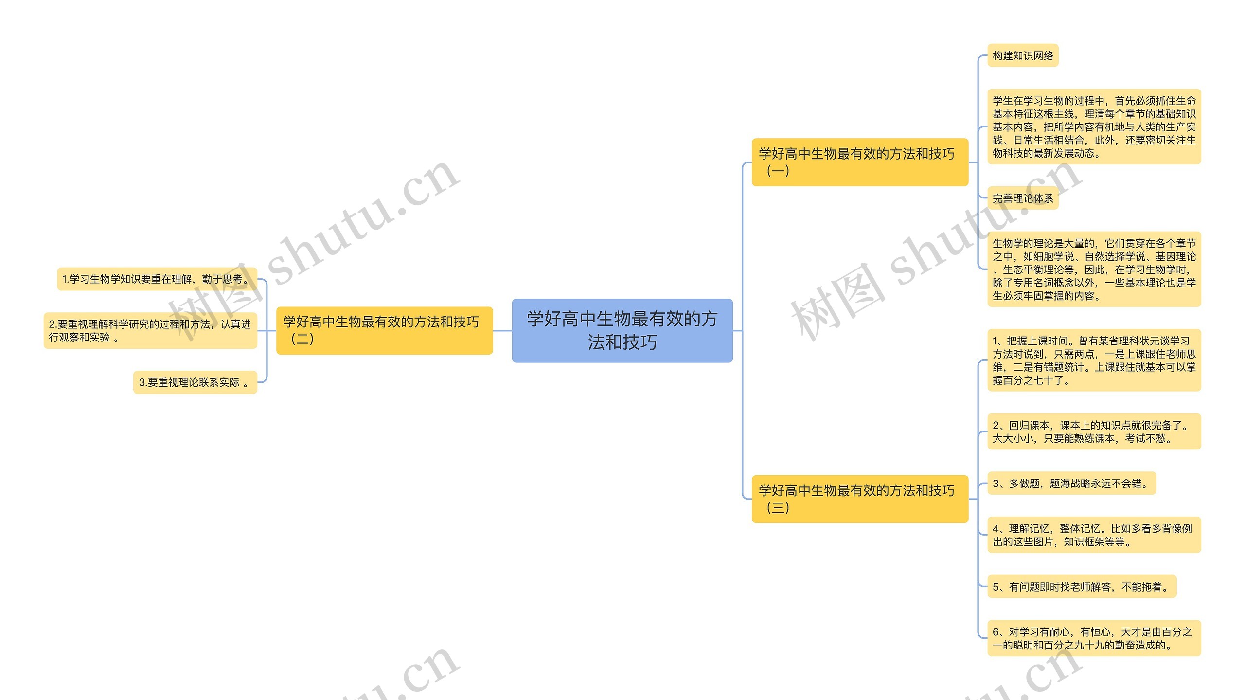 学好高中生物最有效的方法和技巧思维导图