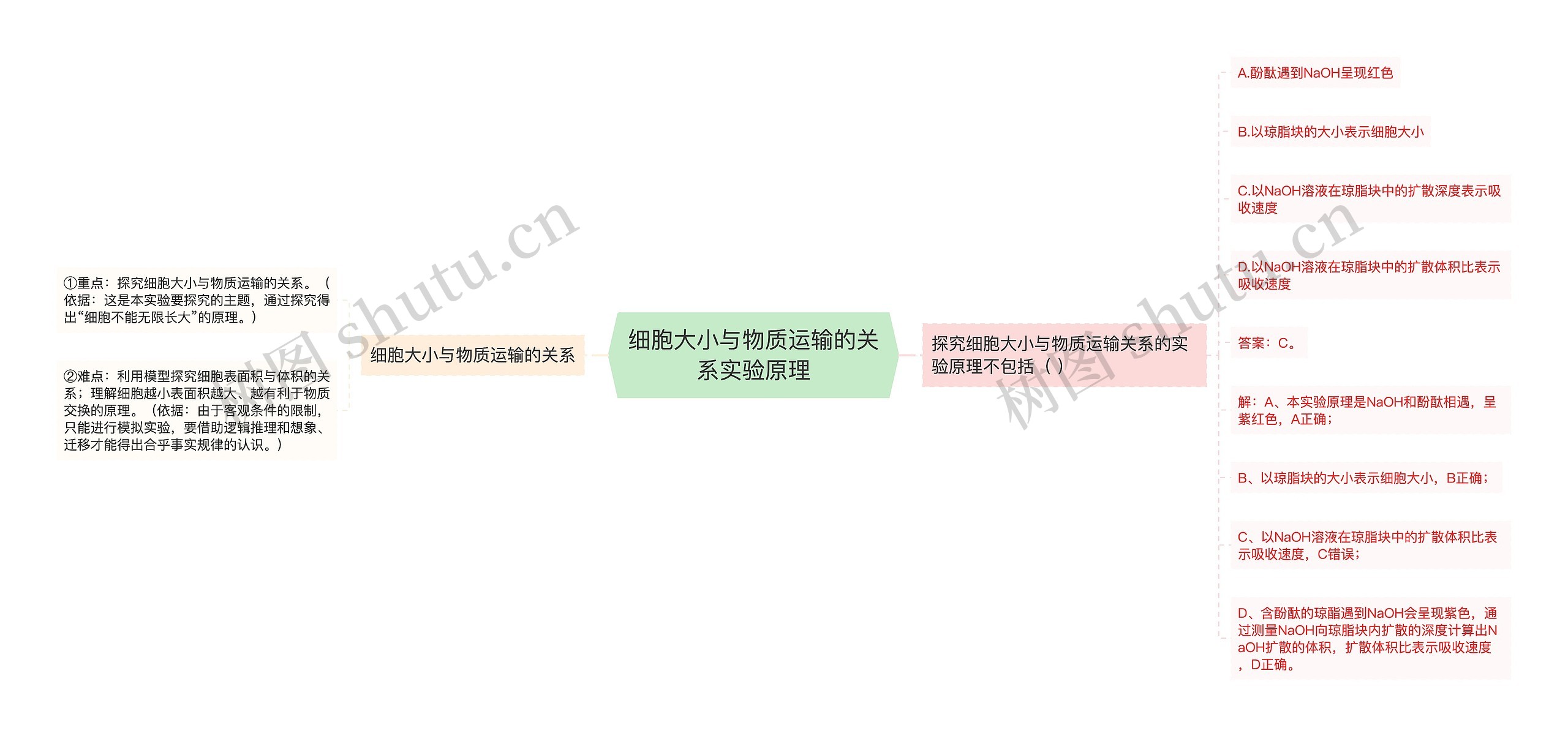 细胞大小与物质运输的关系实验原理