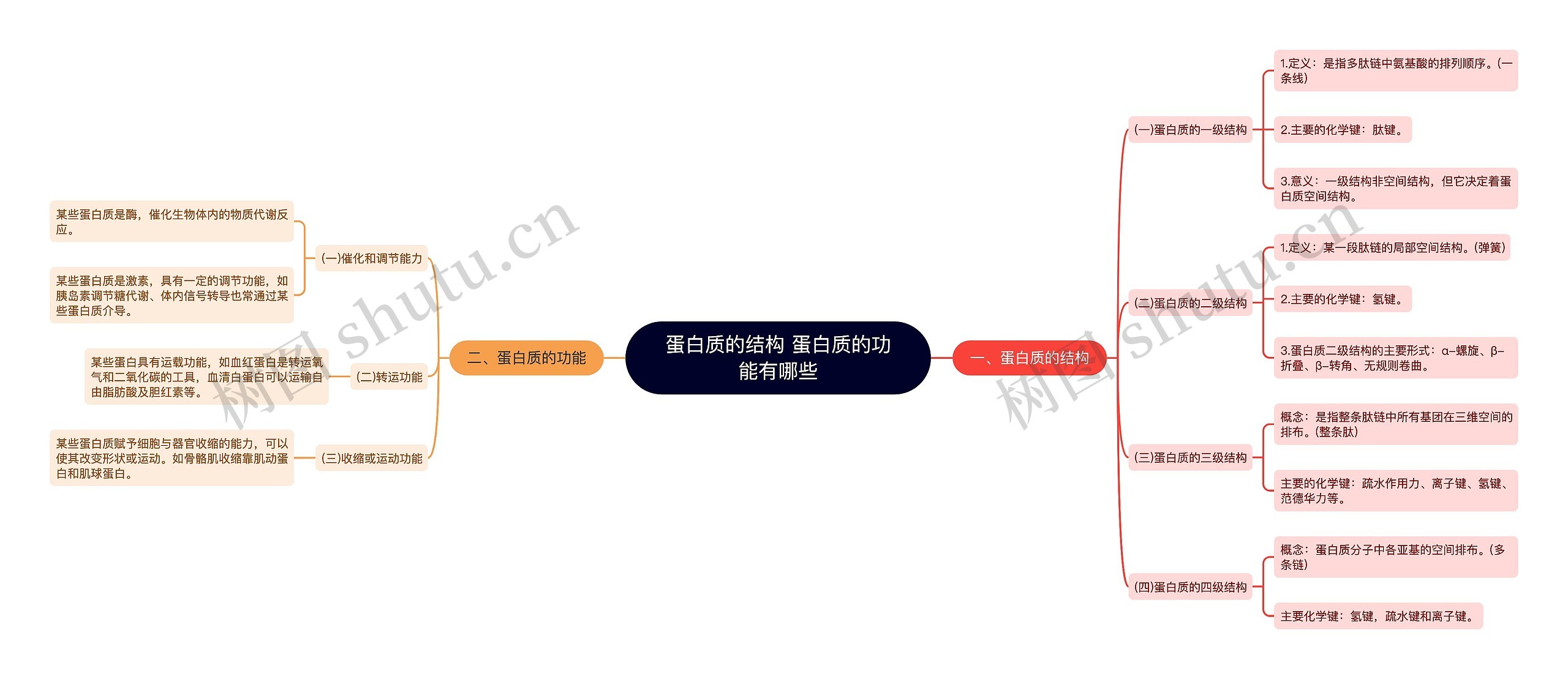 蛋白质的结构 蛋白质的功能有哪些思维导图