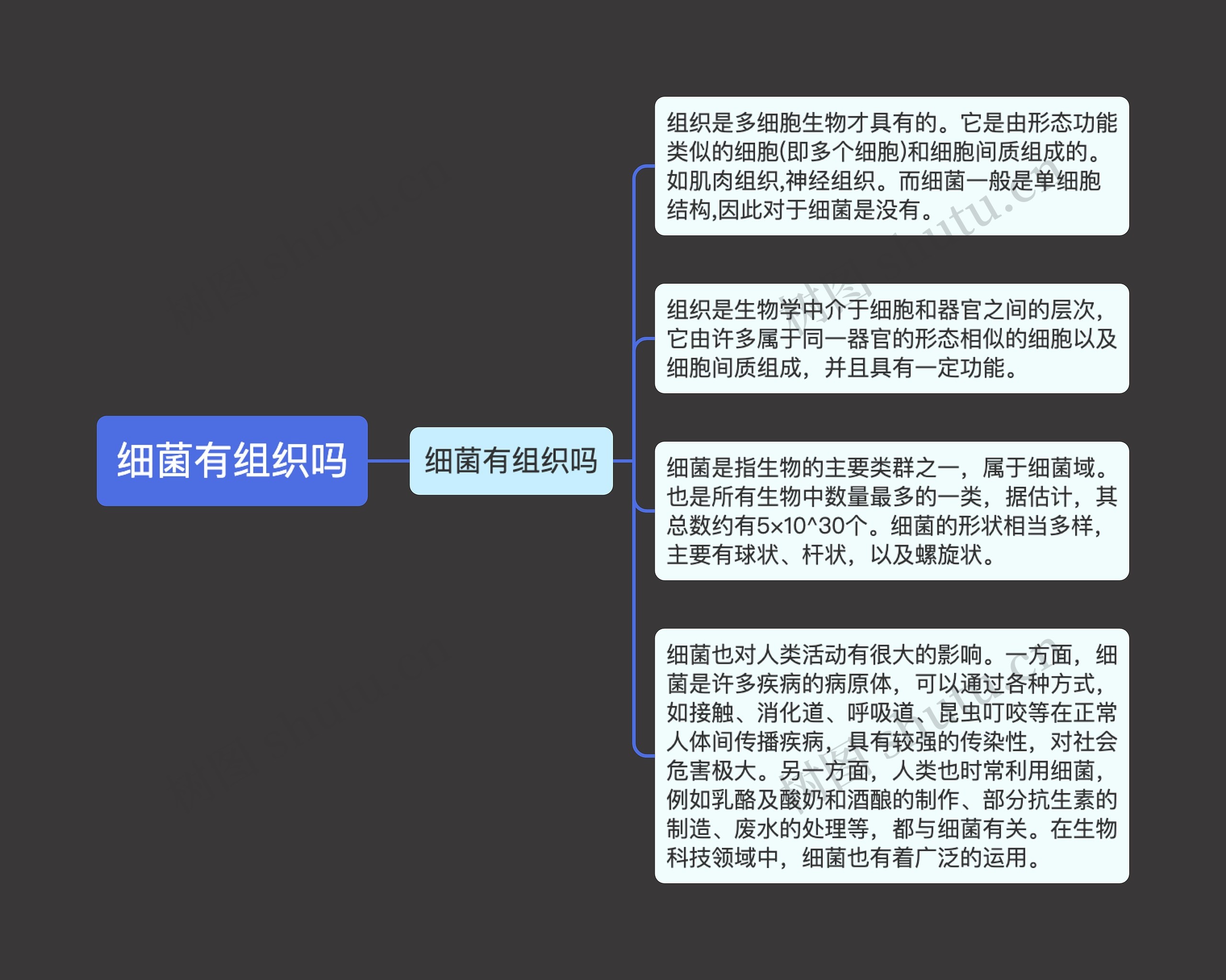 细菌有组织吗思维导图