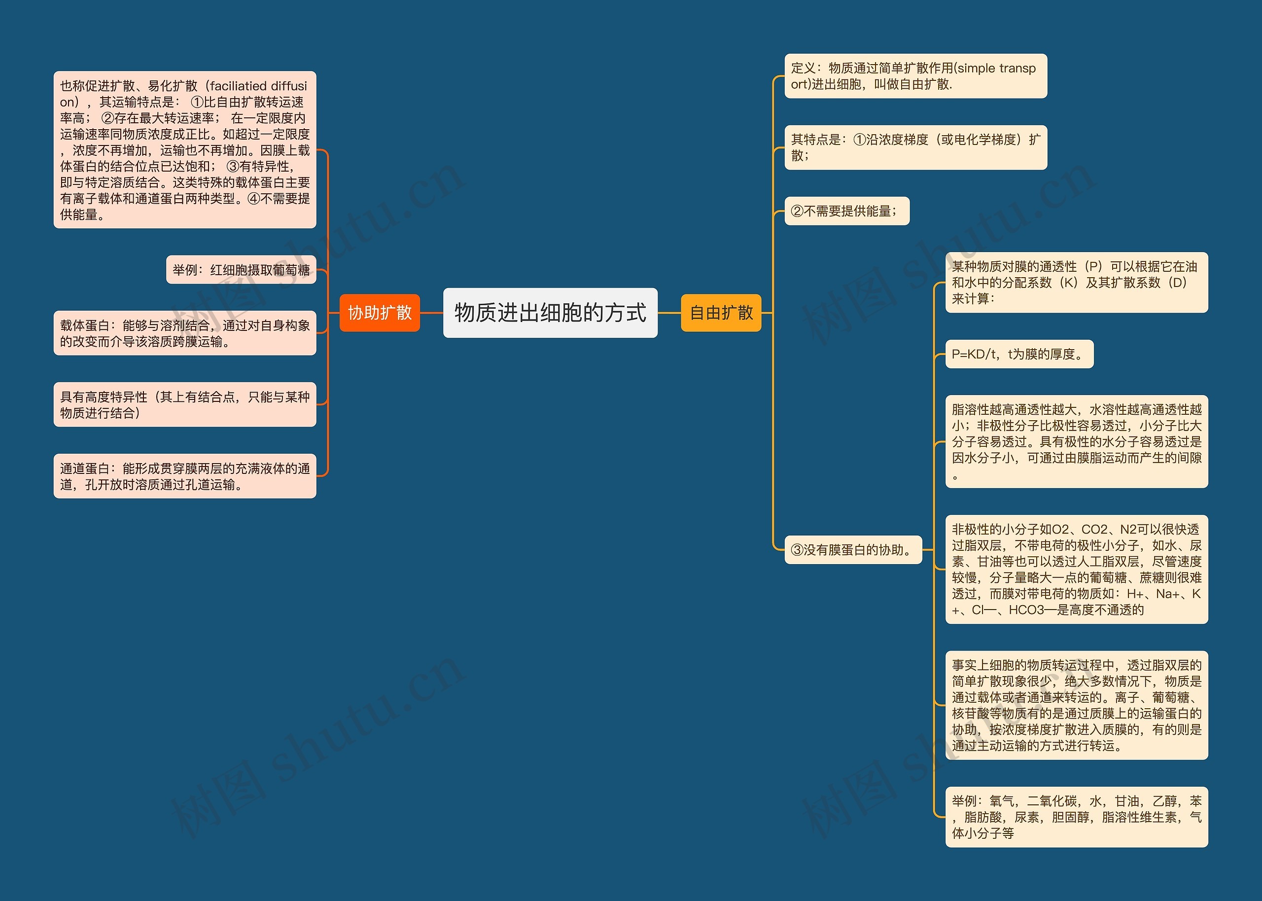 物质进出细胞的方式