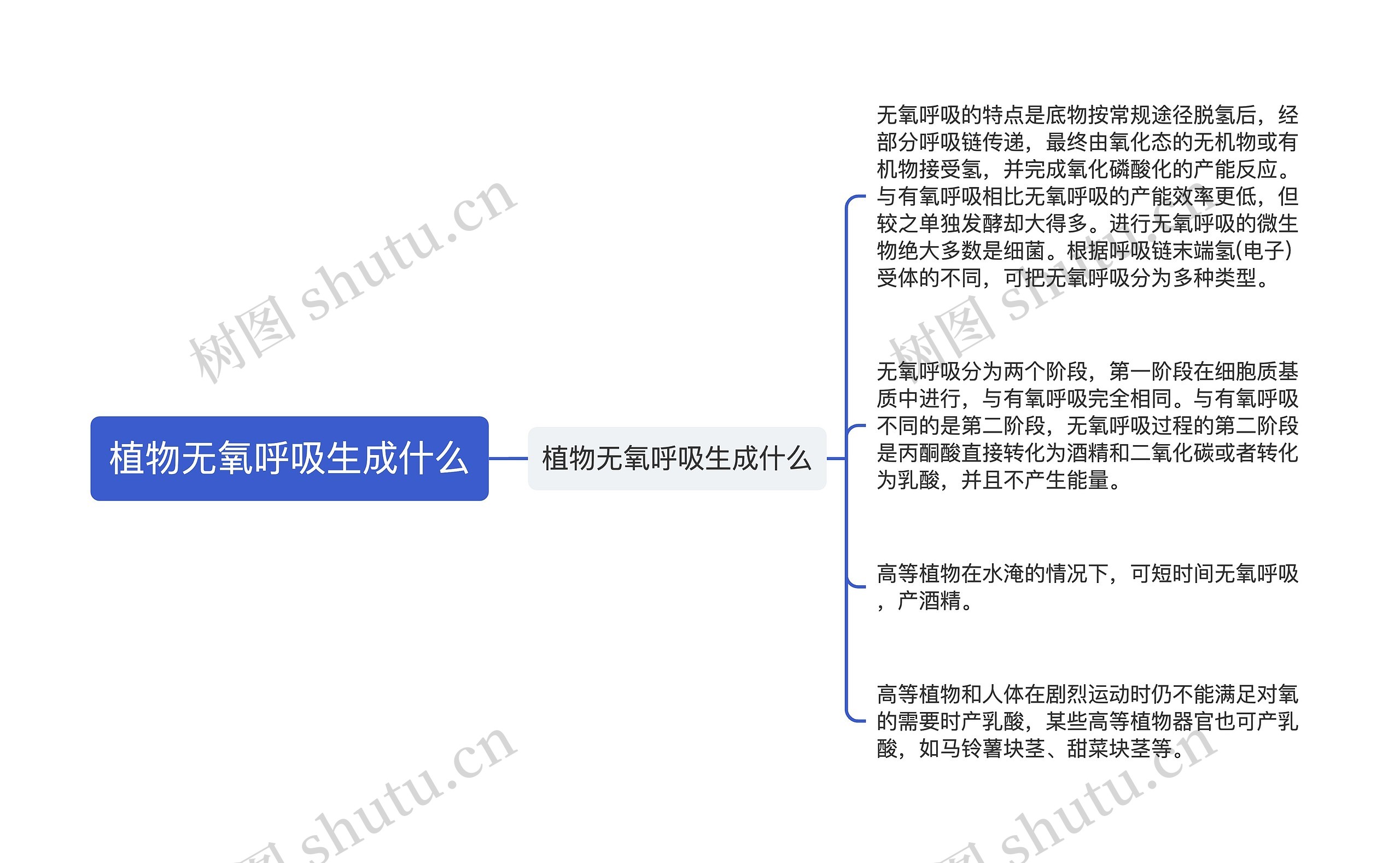 植物无氧呼吸生成什么