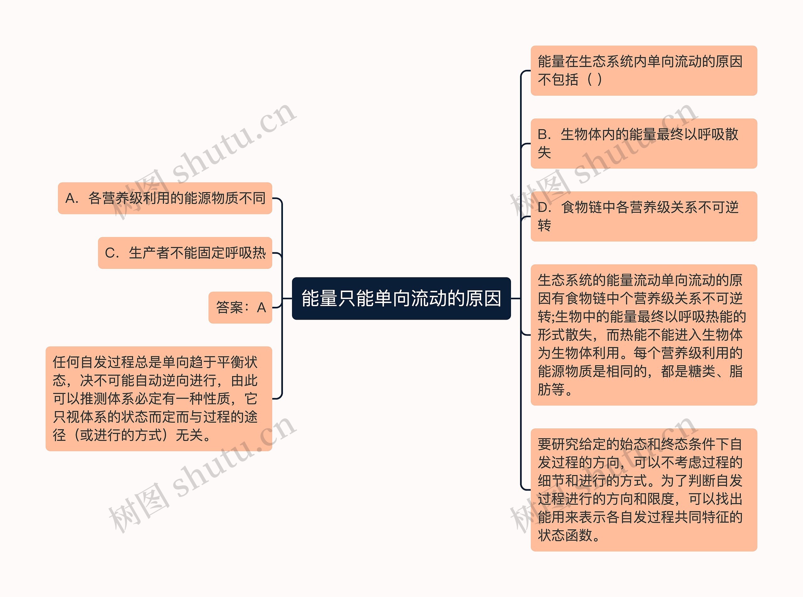 能量只能单向流动的原因思维导图