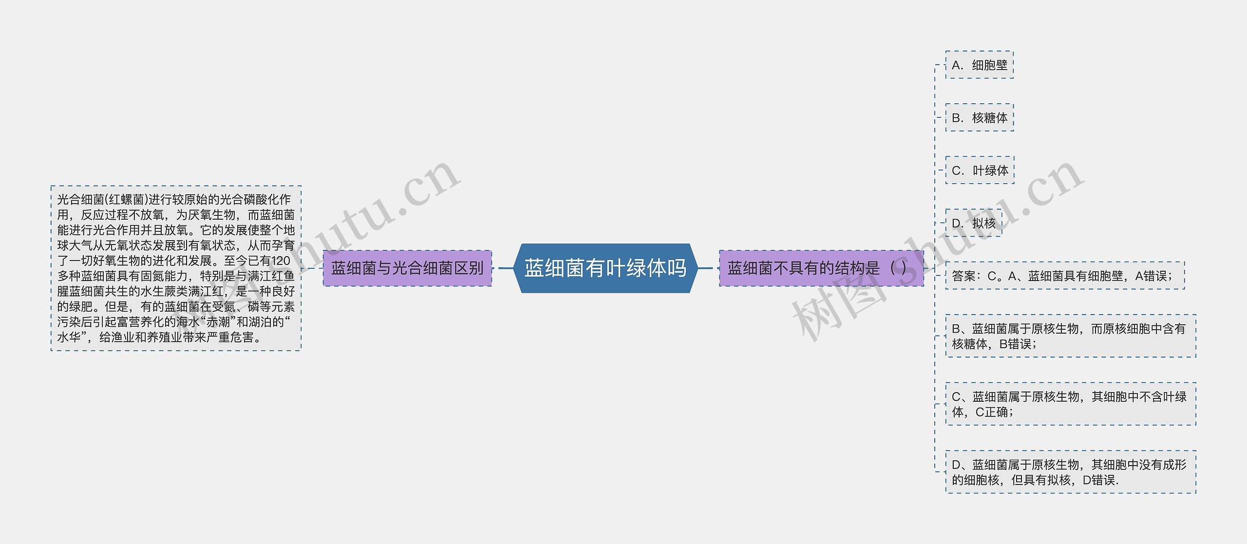 蓝细菌有叶绿体吗思维导图