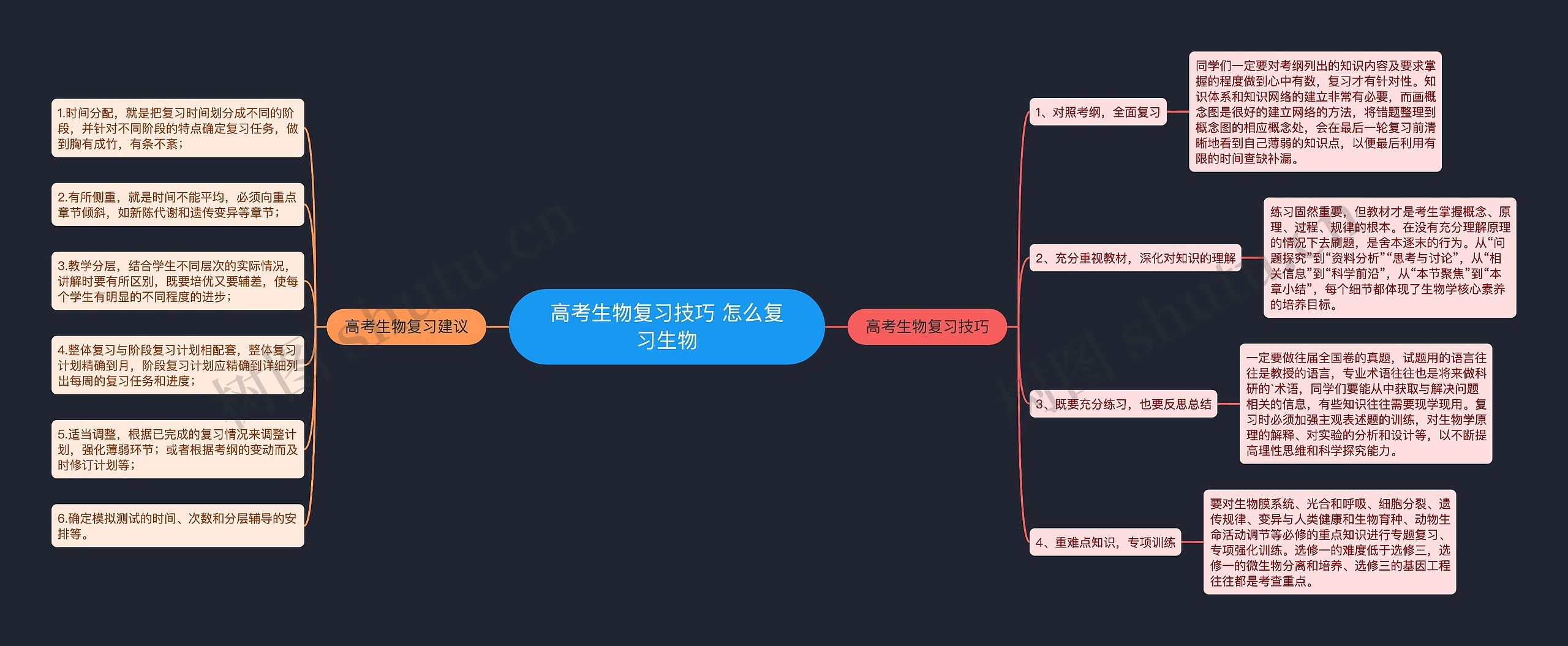 高考生物复习技巧 怎么复习生物思维导图