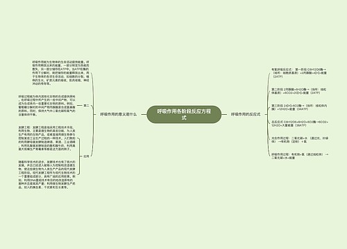 呼吸作用各阶段反应方程式