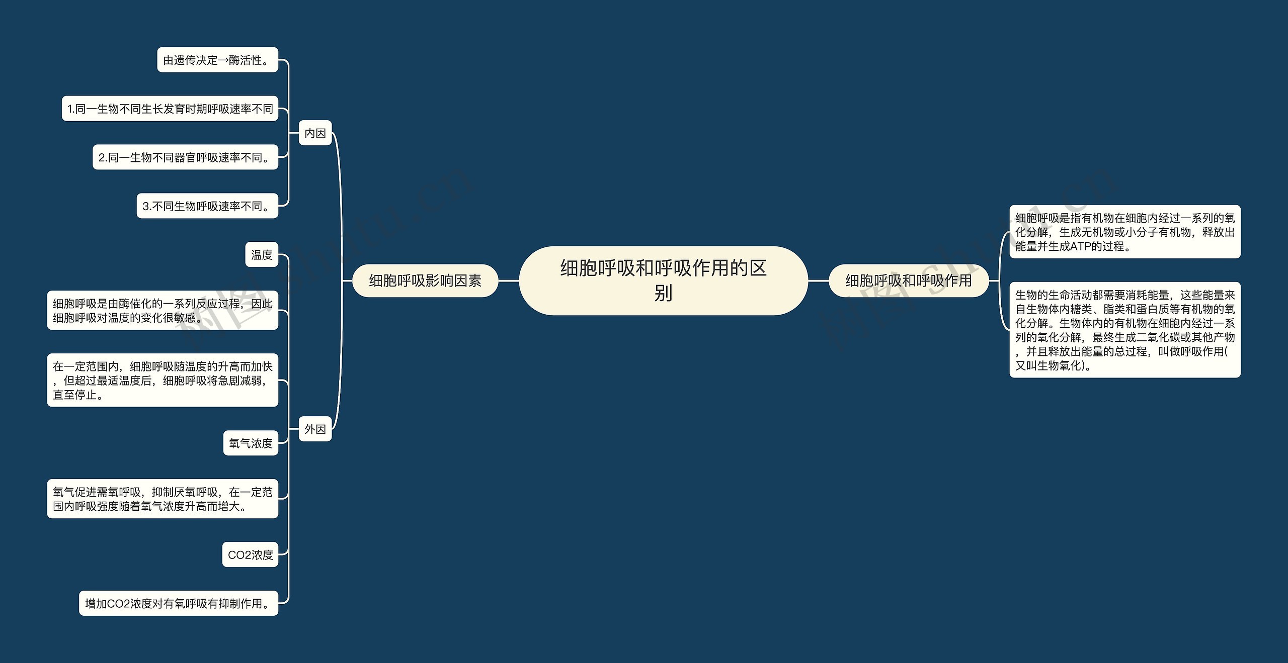 细胞呼吸和呼吸作用的区别