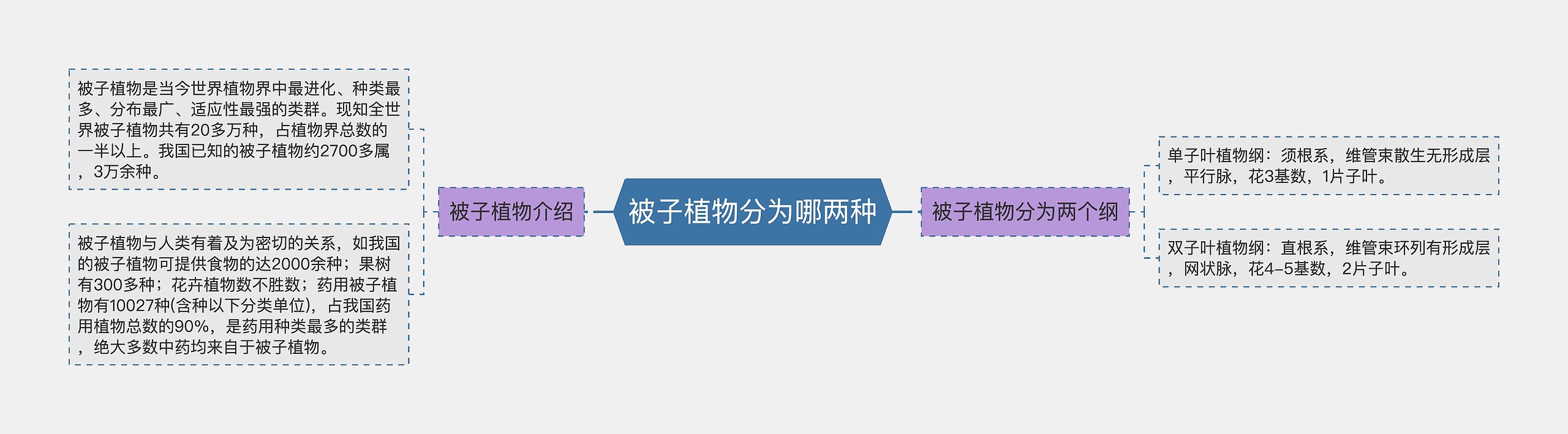 被子植物分为哪两种