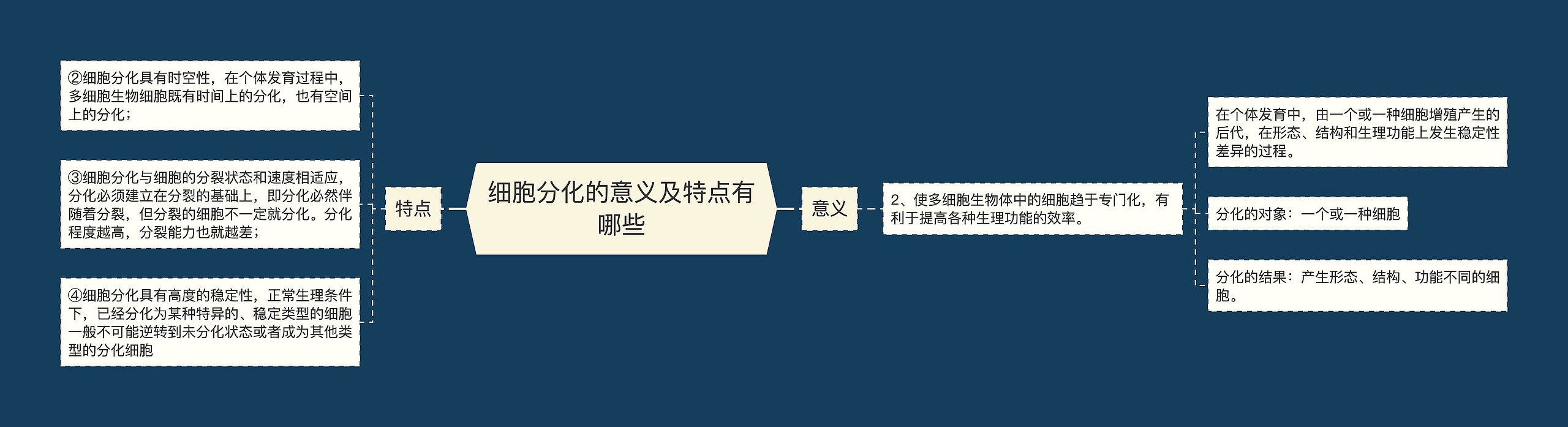 细胞分化的意义及特点有哪些