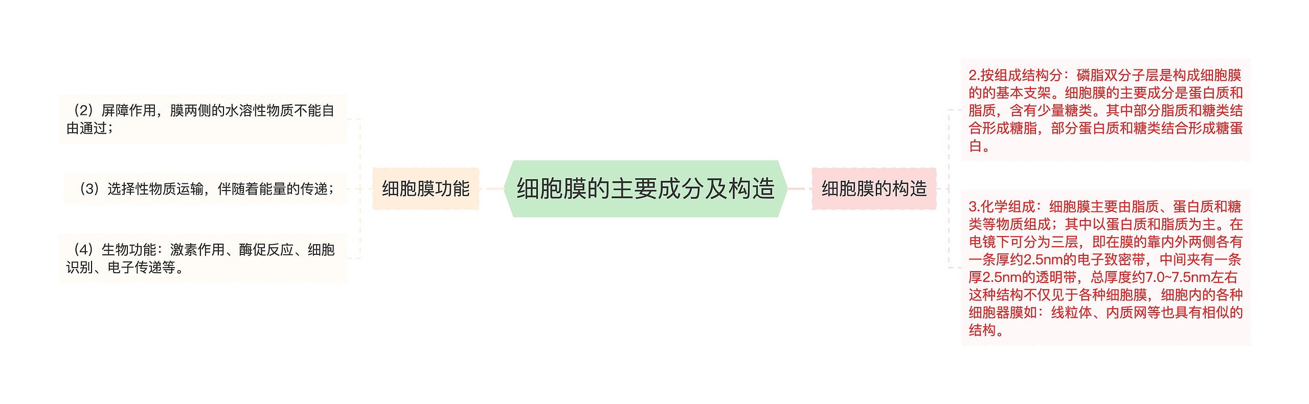 细胞膜的主要成分及构造