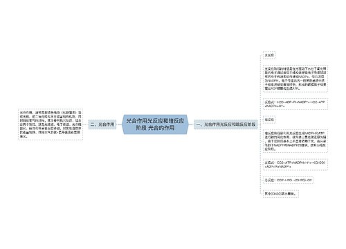 光合作用光反应和暗反应阶段 光合的作用