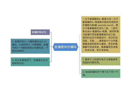 肽键是共价键吗