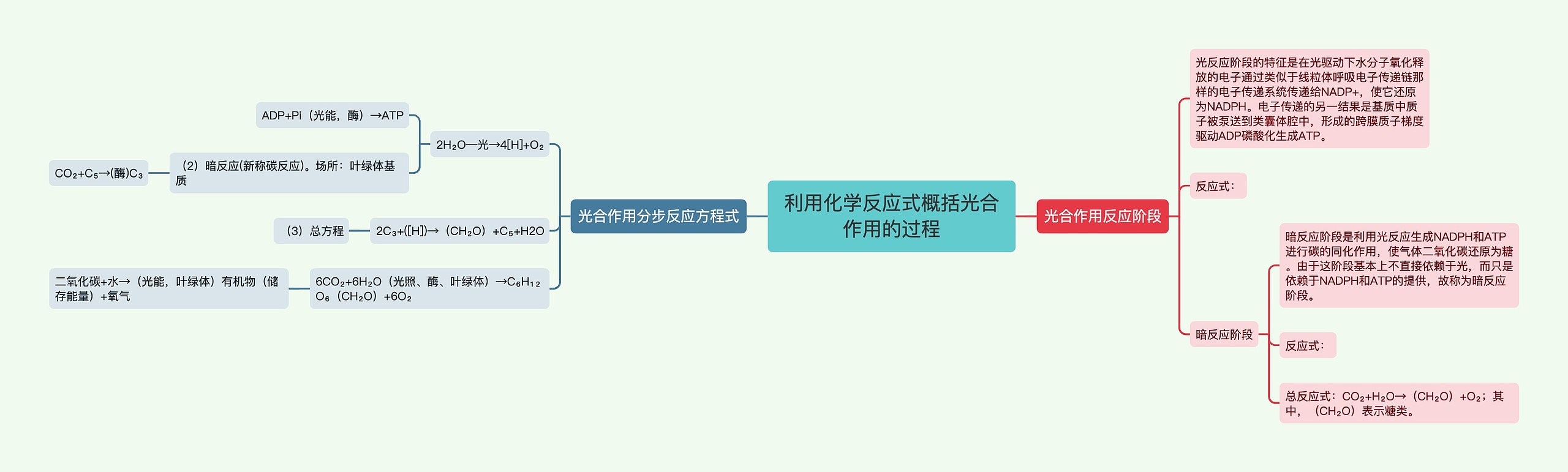 利用化学反应式概括光合作用的过程思维导图