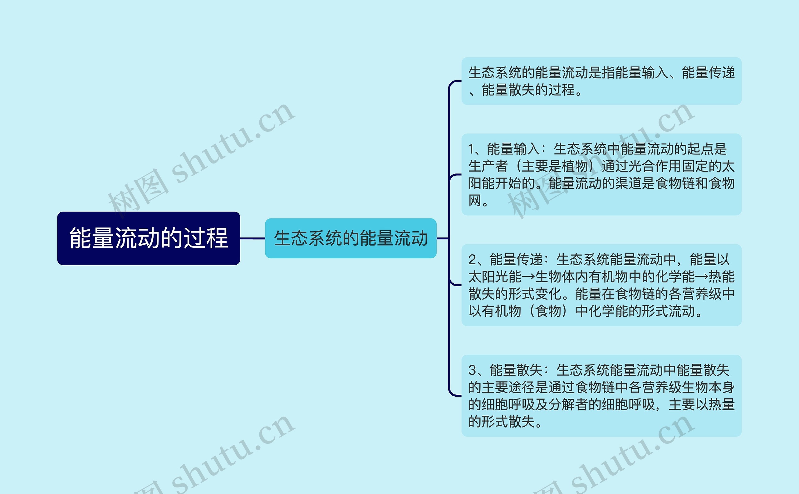 能量流动的过程