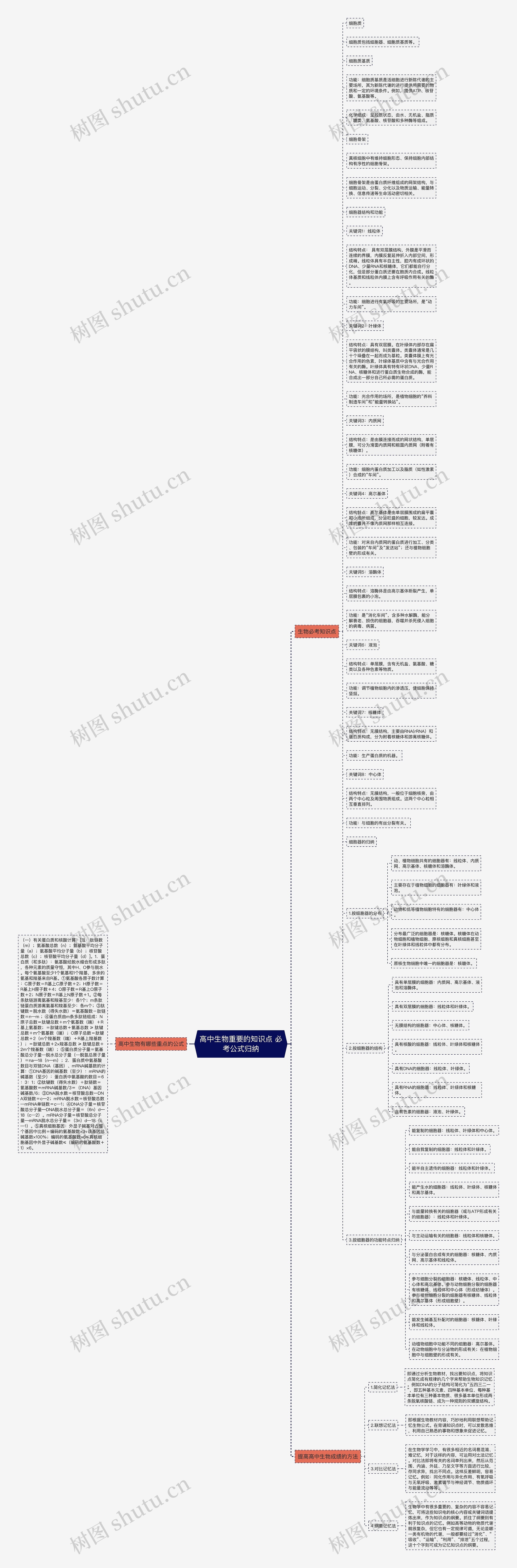 高中生物重要的知识点 必考公式归纳思维导图
