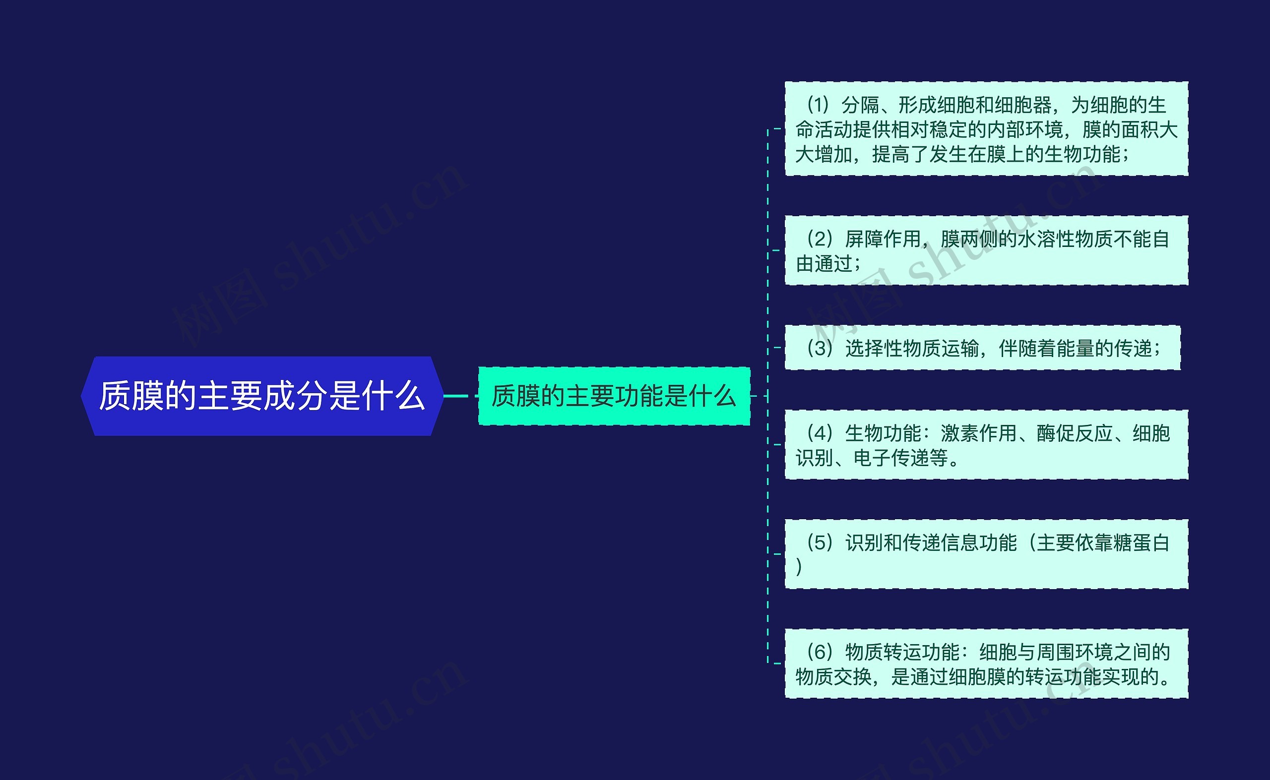 质膜的主要成分是什么思维导图