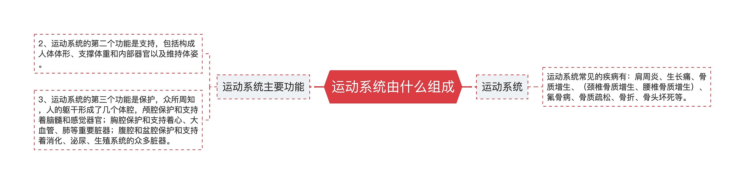 运动系统由什么组成