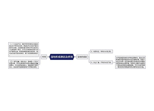 湿地形成原因及作用