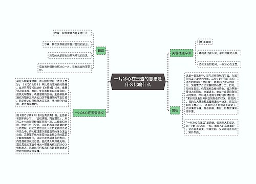 一片冰心在玉壶的意思是什么比喻什么