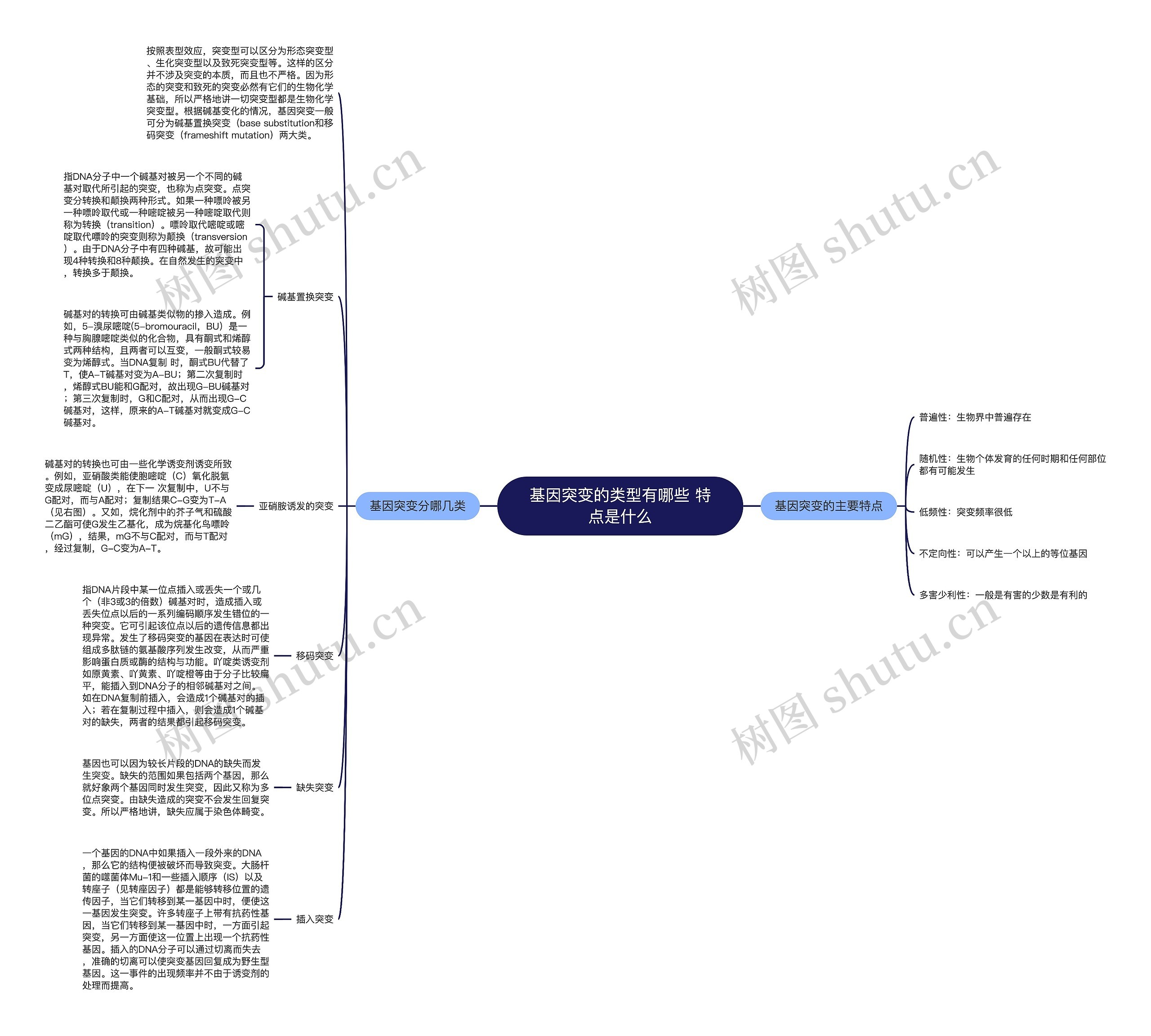 基因突变的类型有哪些 特点是什么思维导图