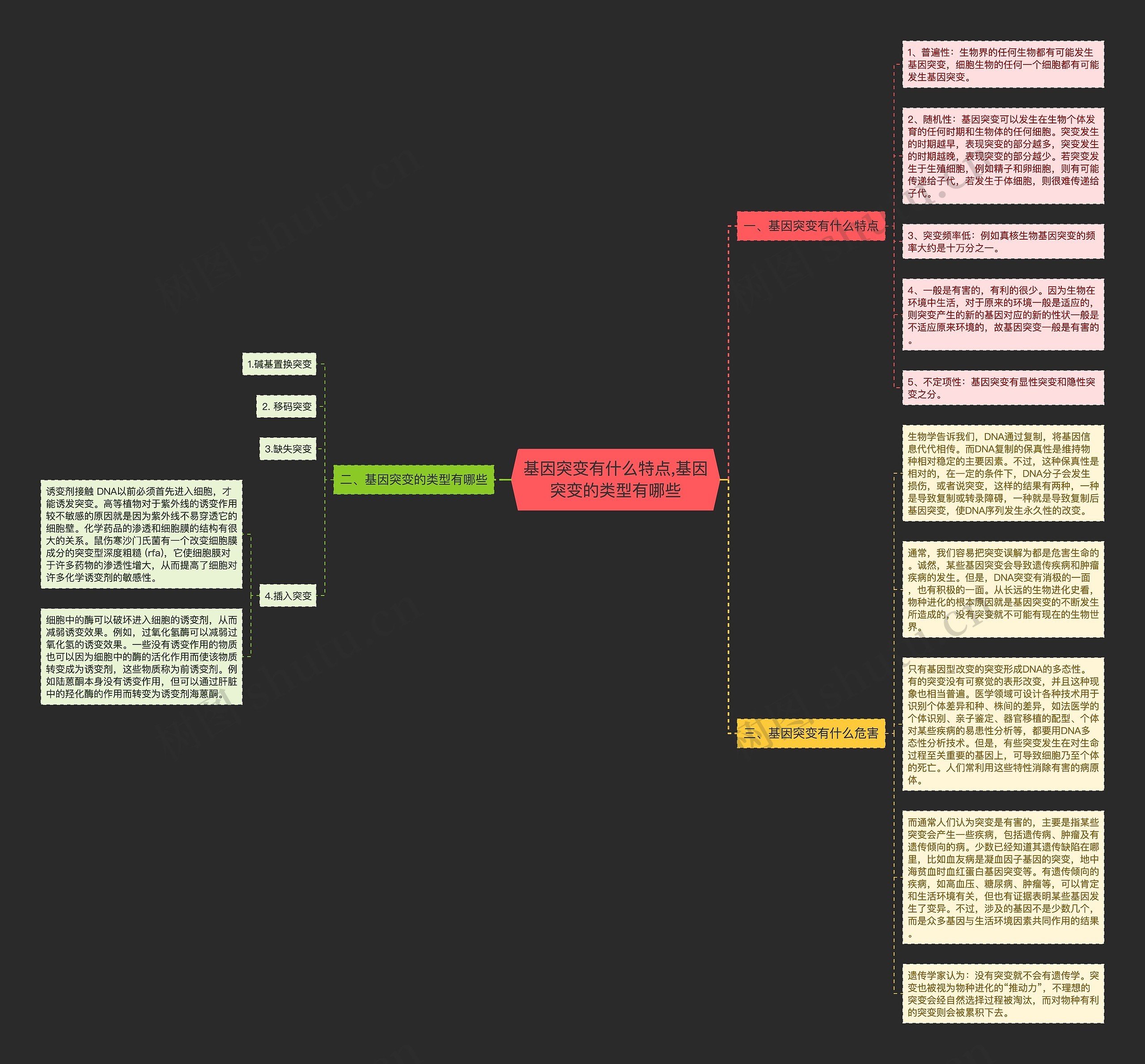 基因突变有什么特点,基因突变的类型有哪些思维导图
