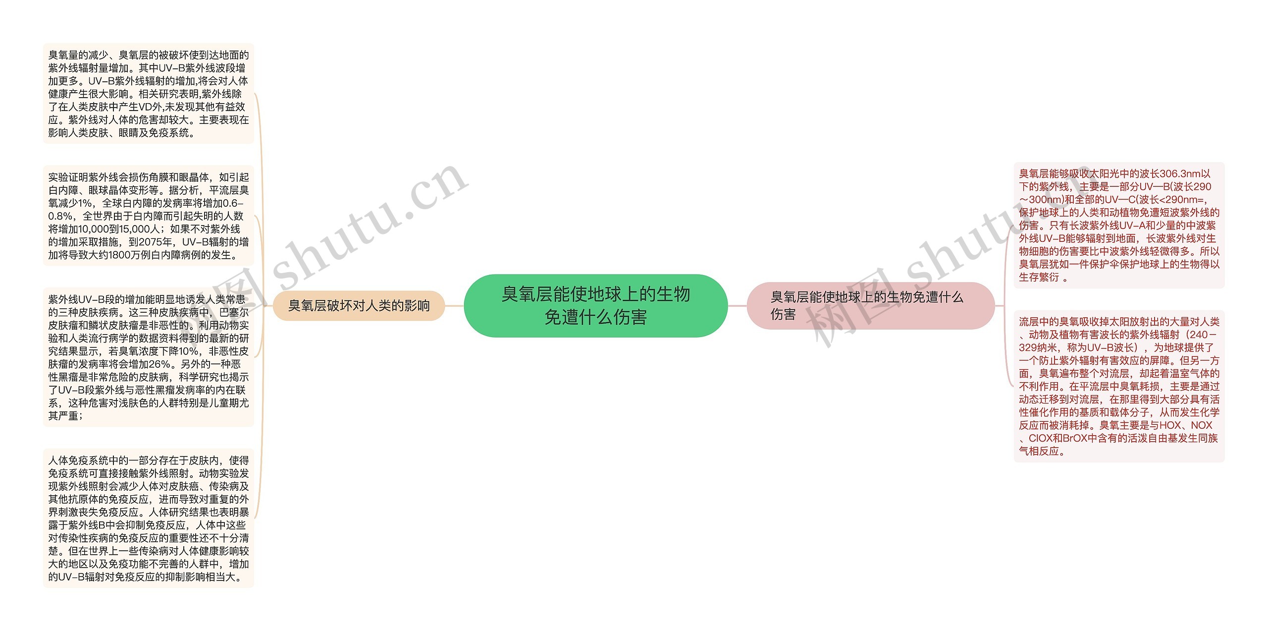 臭氧层能使地球上的生物免遭什么伤害