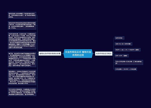 光合作用反应式 植物光合作用的过程