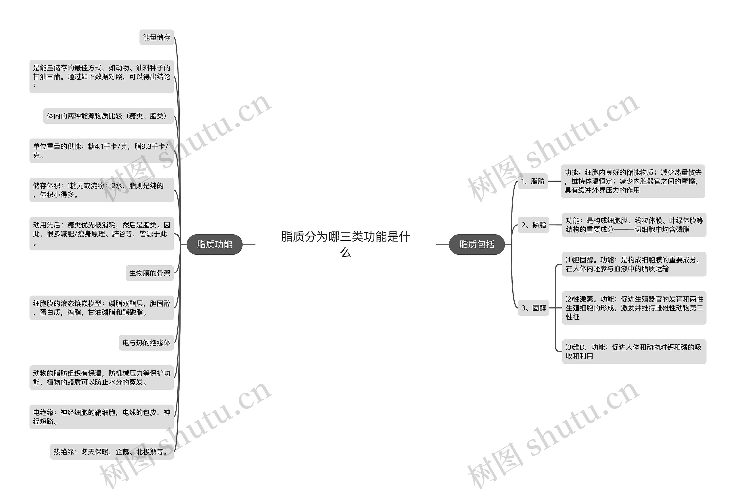 脂质分为哪三类功能是什么